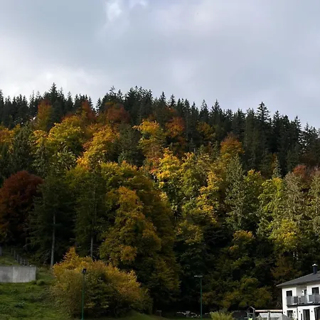 Apartment Landliebe Pinswang