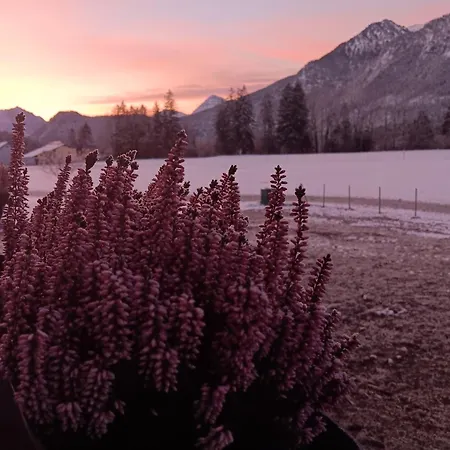 Landliebe Apartamento Pinswang