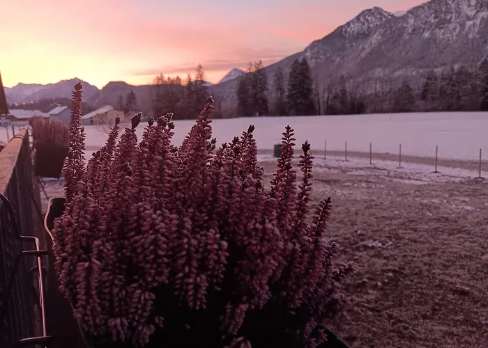 Landliebe アパート ピンスヴァング